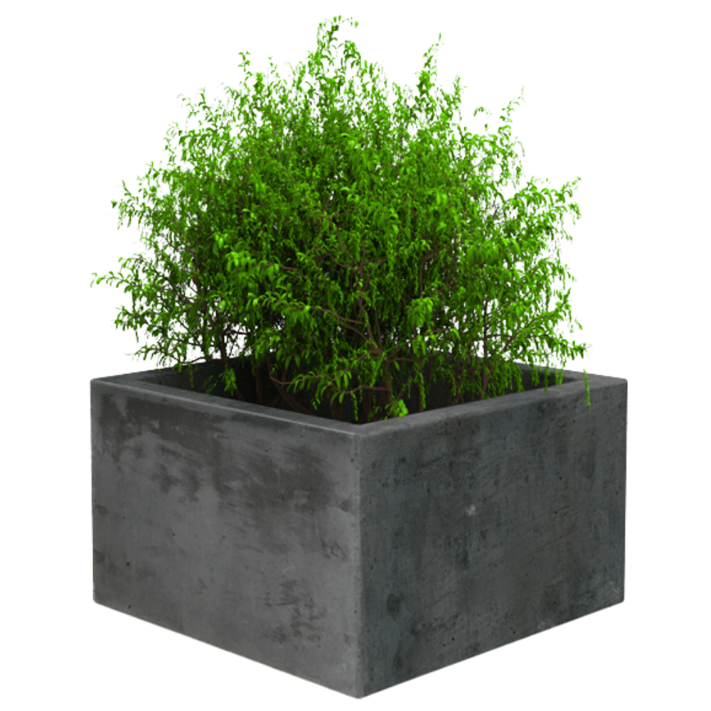 Betonnen plantenbak | 75x75 of 100x100 cm | Antraciet beton