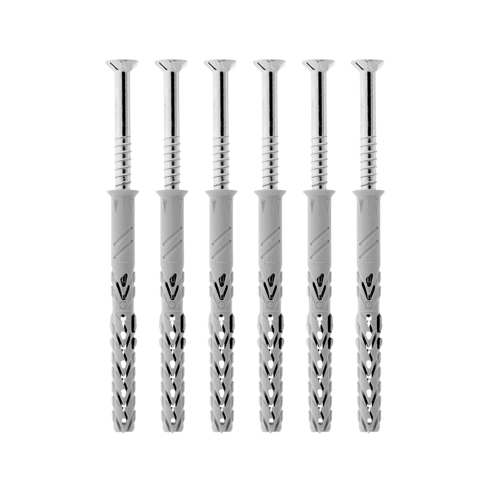 Set van 6 RVS schroeven 10x100 en pluggen 12x120