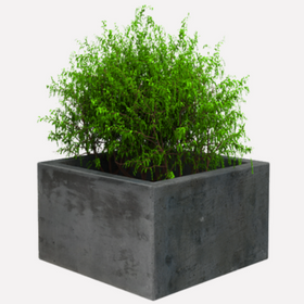 Plantenbakken