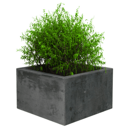 Betonnen plantenbak 75x75 of 100x100 cm antraciet beton