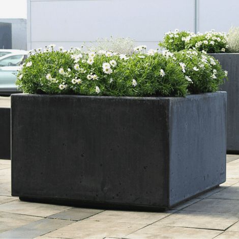 Antraciet betonnen plantenbak, rechthoekig, met witte bloemen.