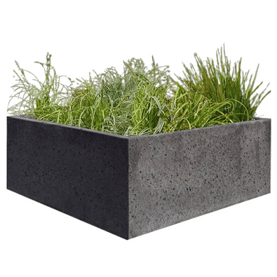 Donkergrijze betonnen plantenbak met Oud Hollands stampbeton textuur, gevuld met groen.