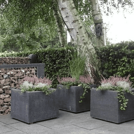 Drie donkergrijze betonnen plantenbakken in Oud Hollands stampbeton, gevuld met bloeiende planten.