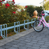 Verzinkt stalen fietsenrek voor muurbevestiging, met 6 parkeerplaatsen, naast een rozenstruik.