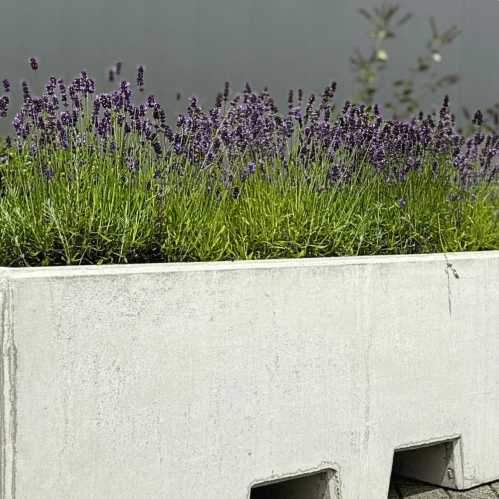 Betonnen plantenbak met lepelgaten | 165x50x50 cm | Grijs beton