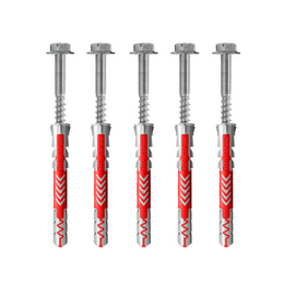 Set van 5 bouten 10x140 en pluggen 14x135