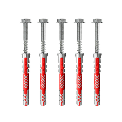 Set van 5 Fischer bouten 10x140 en rode pluggen 14x135.